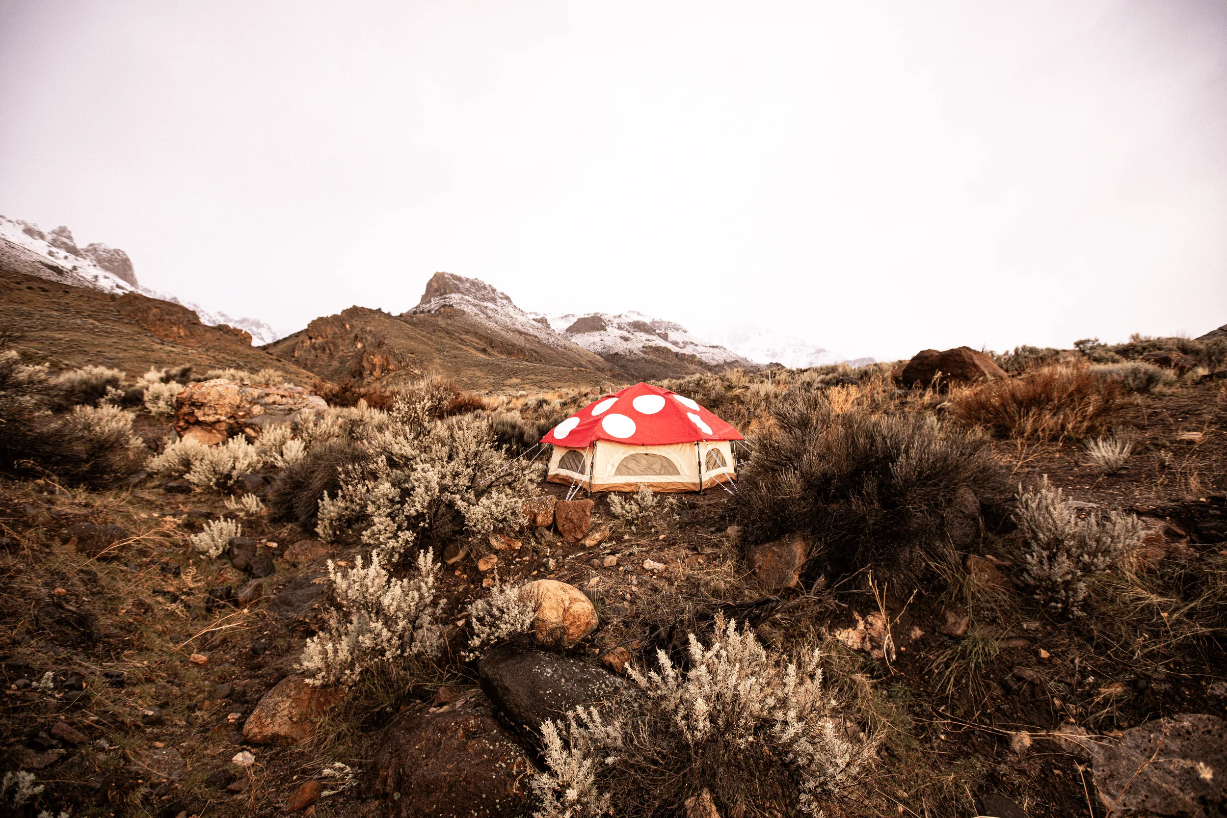 Kinoko Mushroom Tent (S) - Image 15