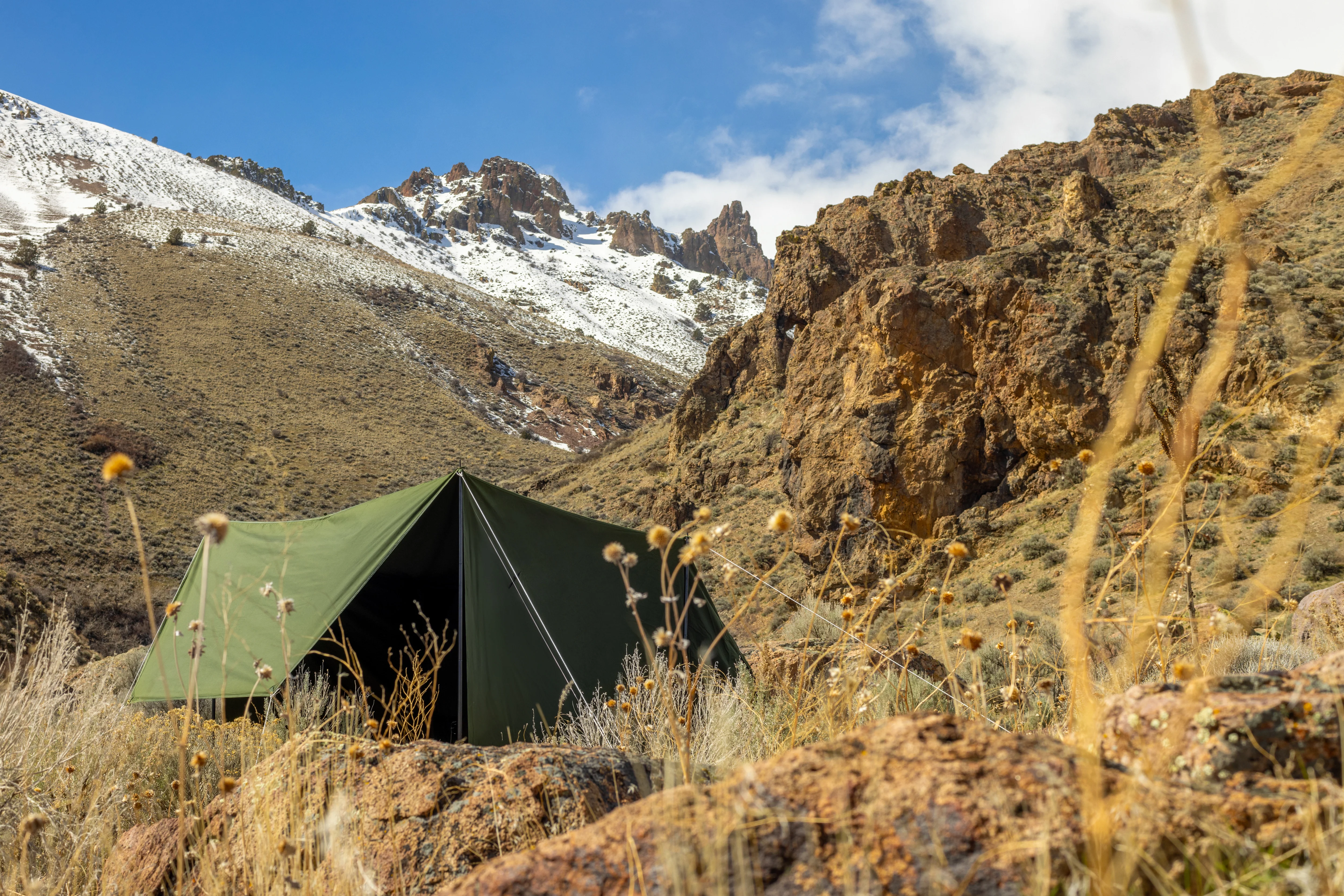 Pup Like Tent - Image 18
