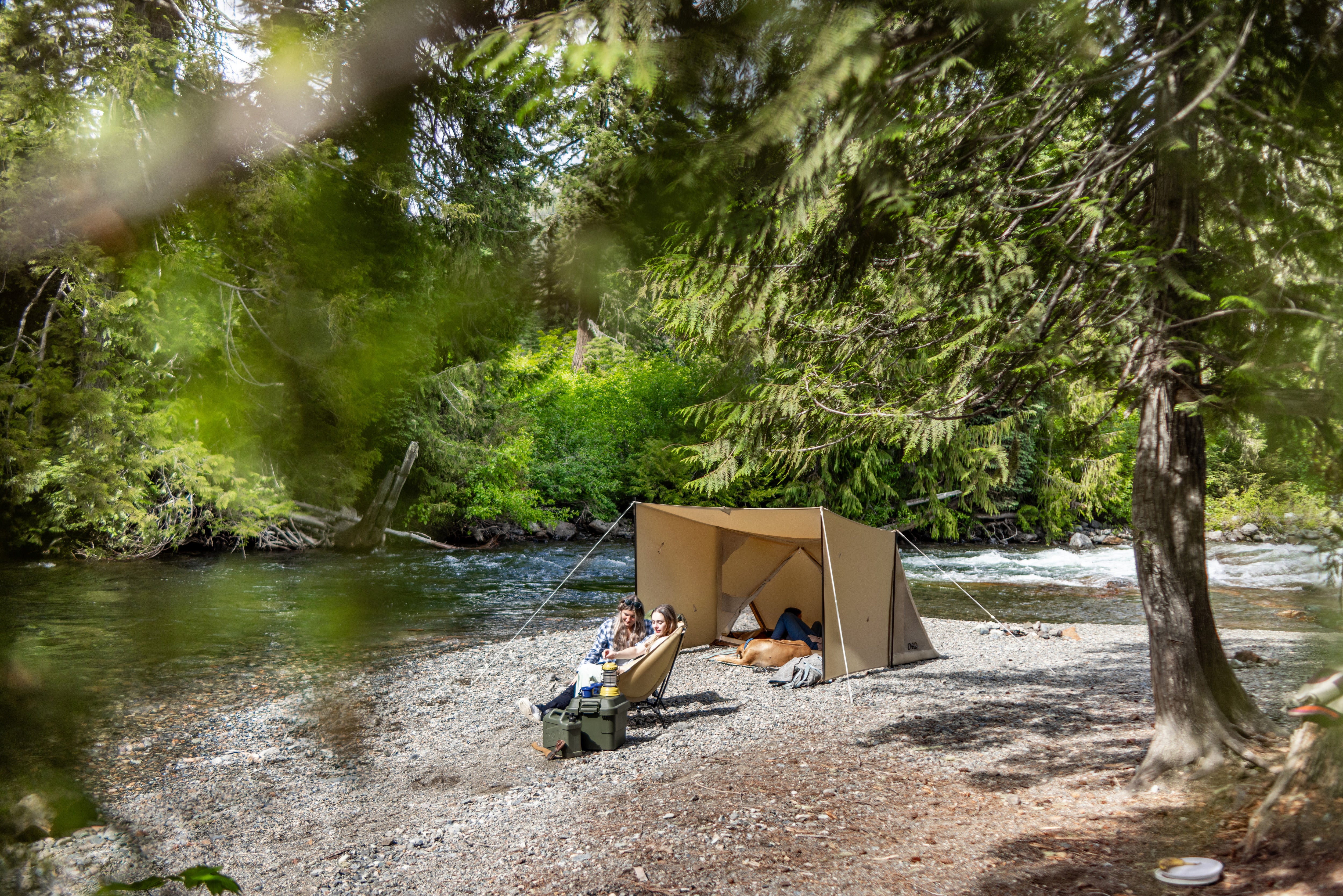 Pup Like Tent - Image 6