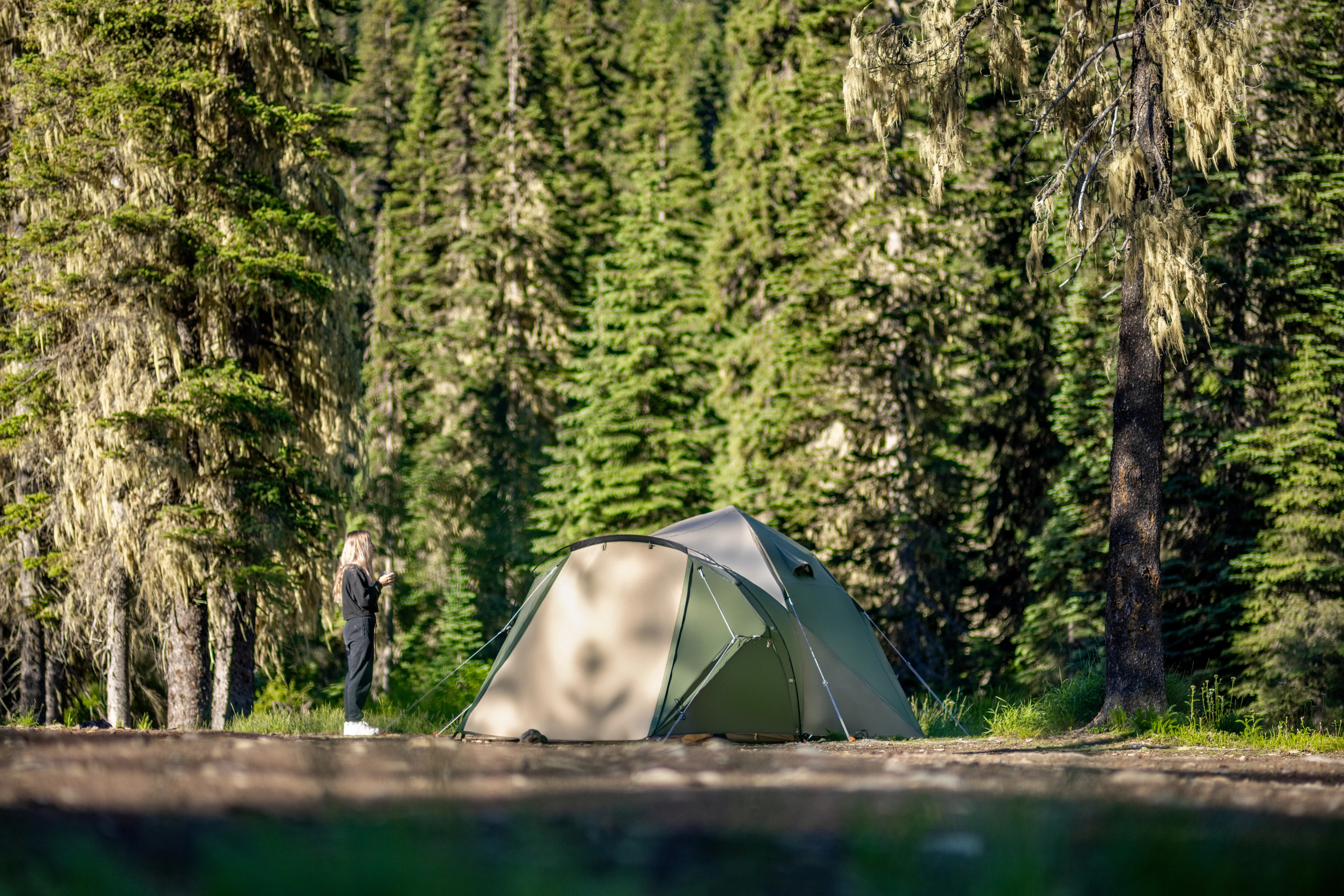 THE Dome Tent - Image 12