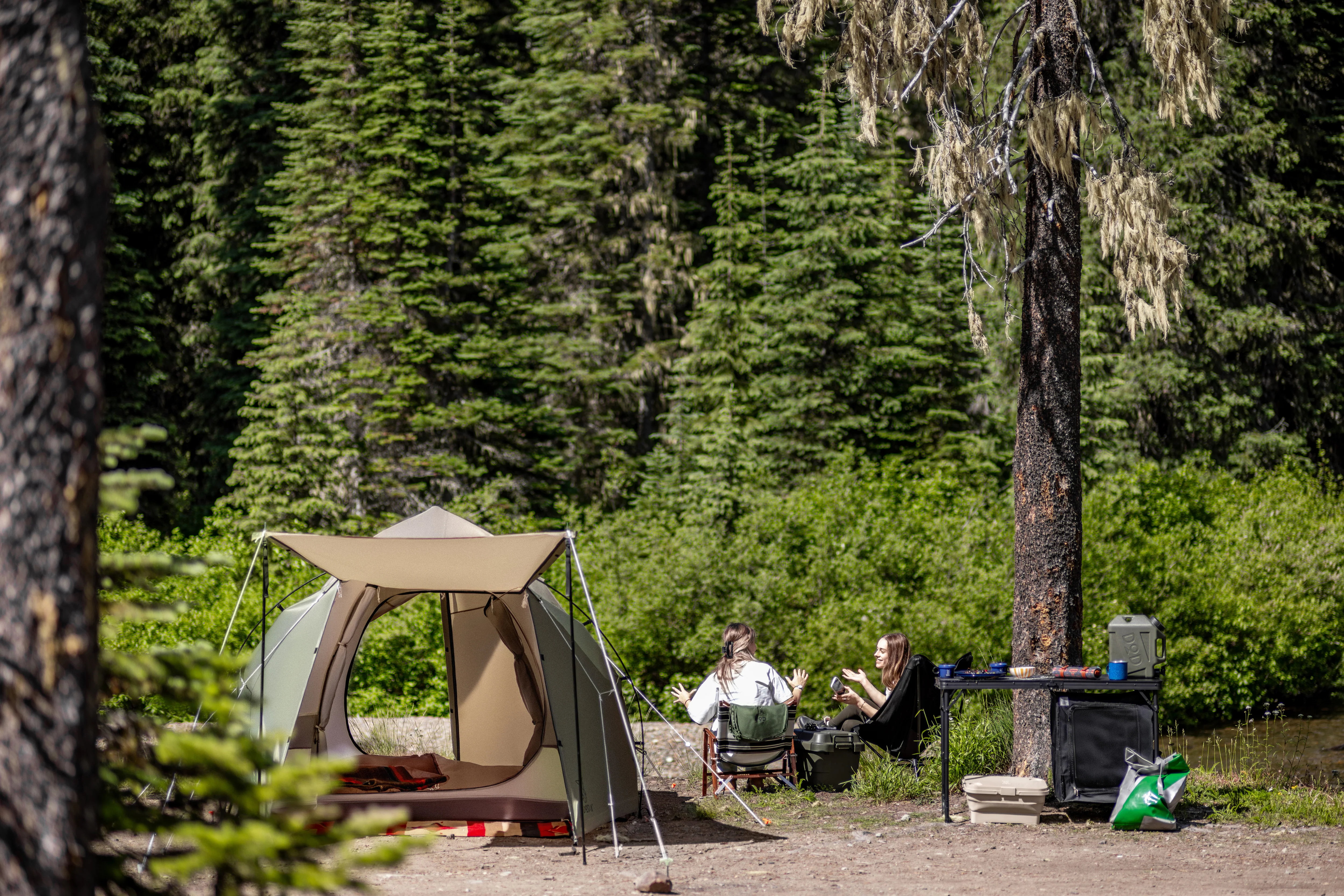THE Dome Tent - Image 14